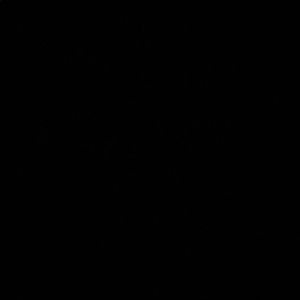 Meet your Posher, Bobby